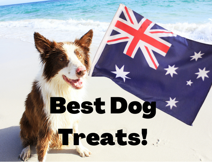 Australian border collie standing next to a sign reading: '5 Best Australian Dog Treats To Buy'