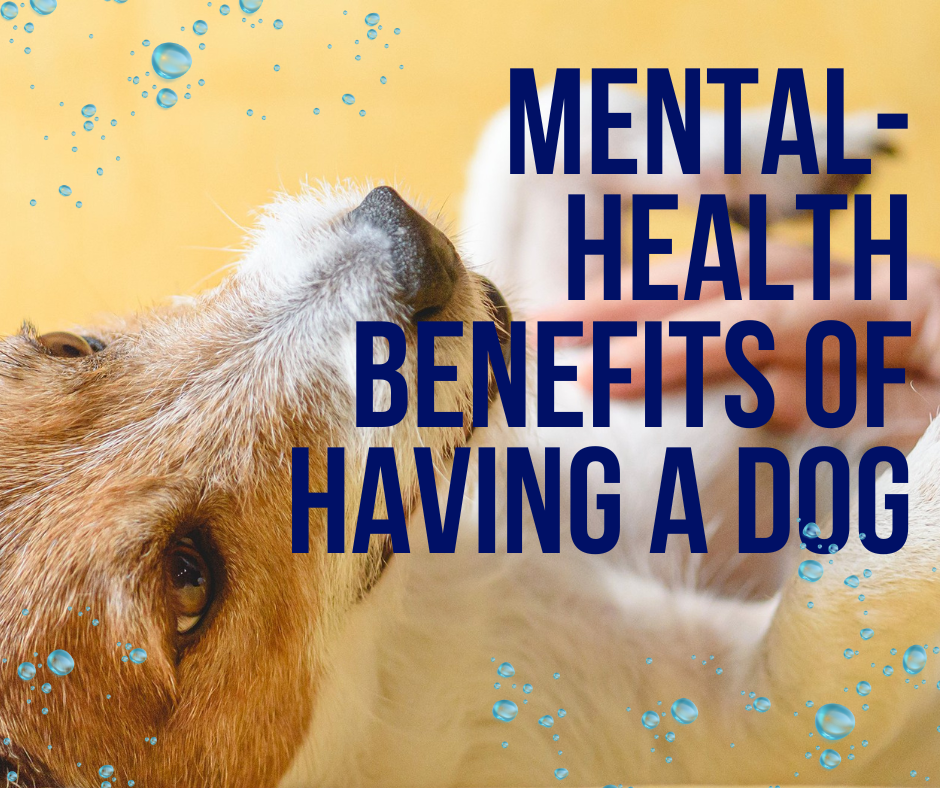 Health and Mental-Boosting Benefits of Having a Dog